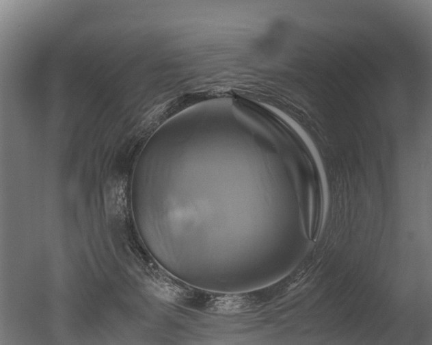 X0000050740127200506161537