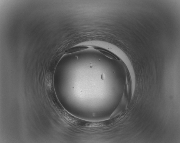 X0000050740129200506161537