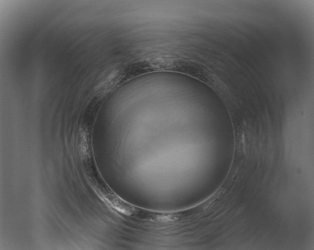 X0000050740130200506161537