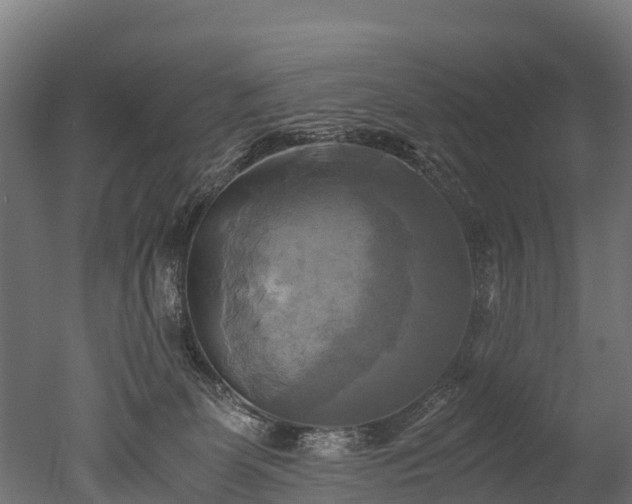 X0000050740131200506161537