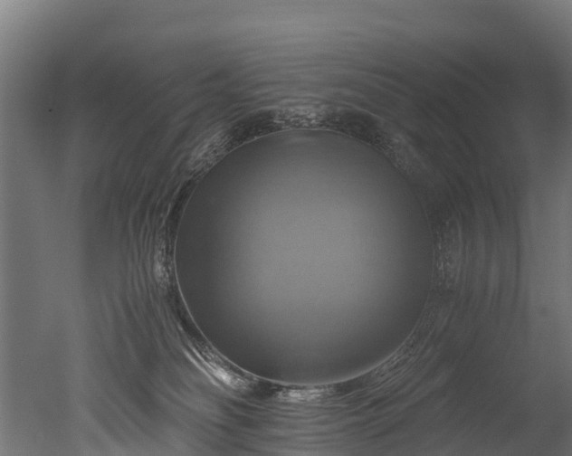 X0000050740134200506161537