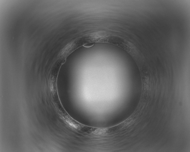 X0000050740138200506161537