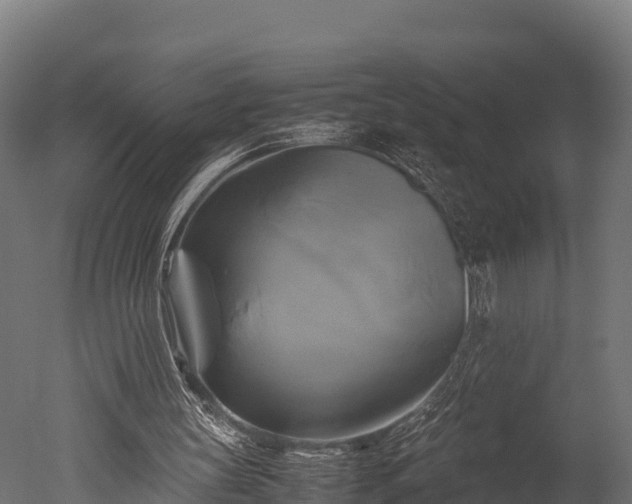 X0000050740147200506161536