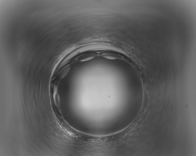 X0000050740148200506161536