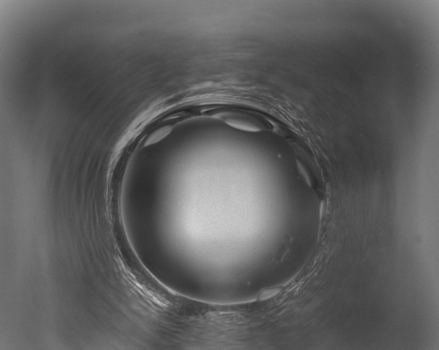 X0000050740150200506161536