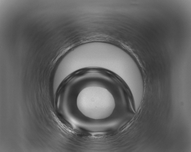 X0000050740154200506161536