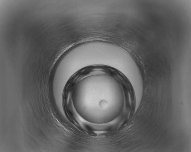 X0000050740156200506161536