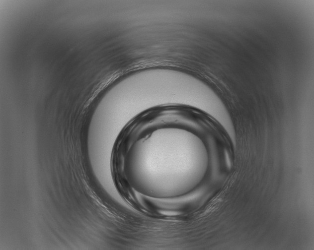 X0000050740158200506161536