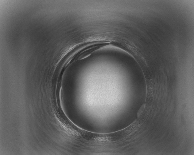 X0000050740160200506161536