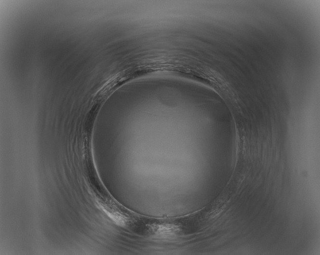 X0000050740165200506161536