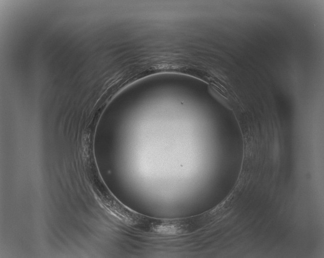 X0000050740171200506161536