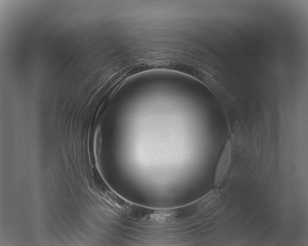 X0000050740172200506161536