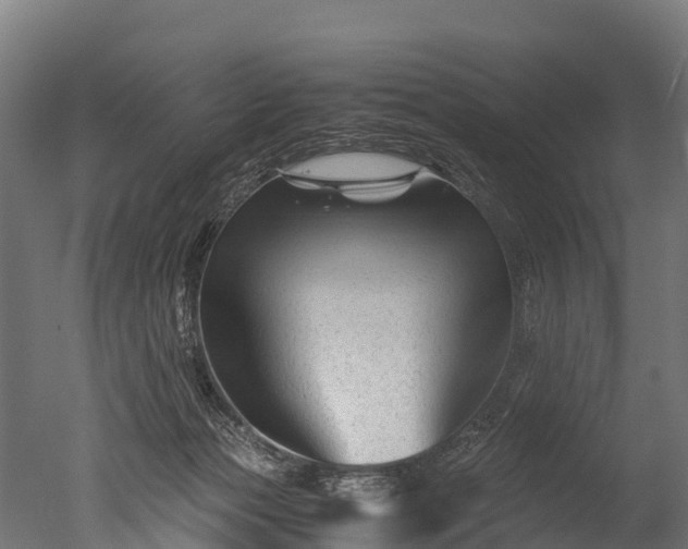 X0000050740173200506161536