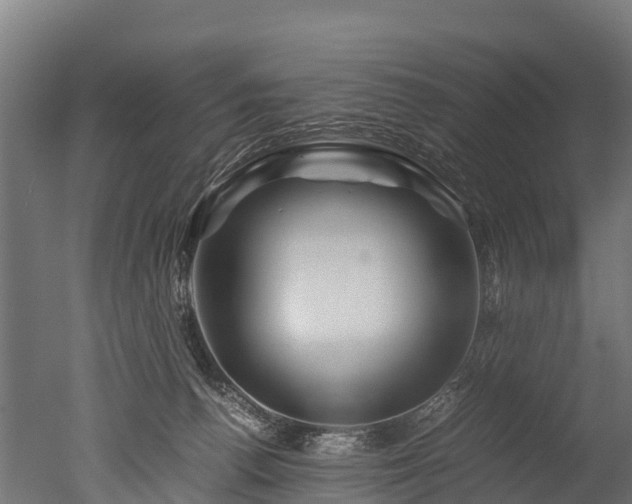 X0000050740176200506161536
