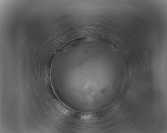 X0000050740177200506161536