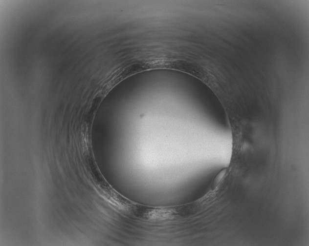 X0000050740179200506161536