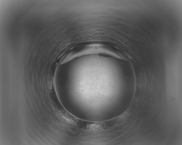 X0000050740180200506161536
