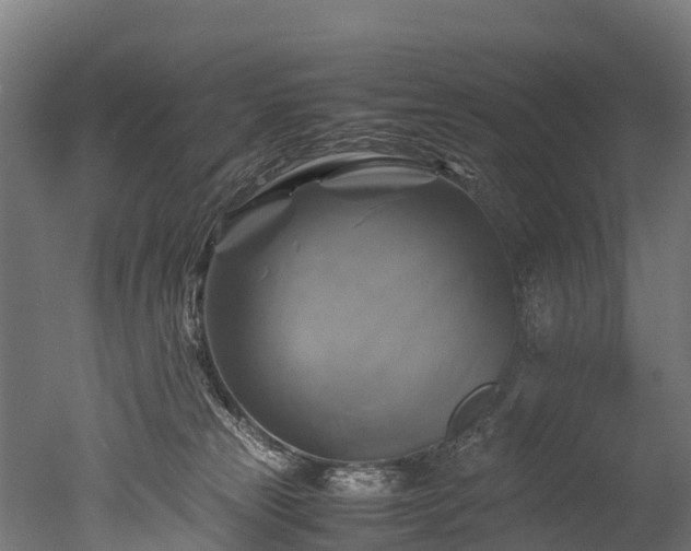 X0000050740181200506161537