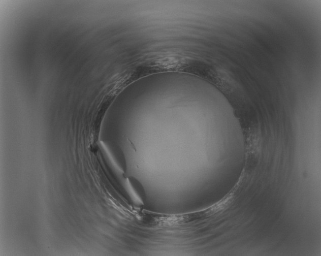 X0000050740182200506161537