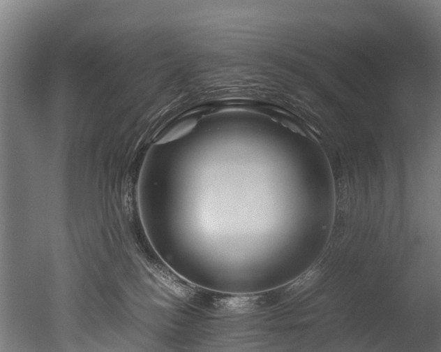 X0000050740184200506161537