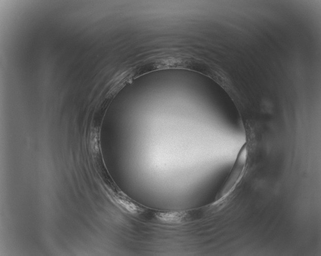 X0000050740191200506161537