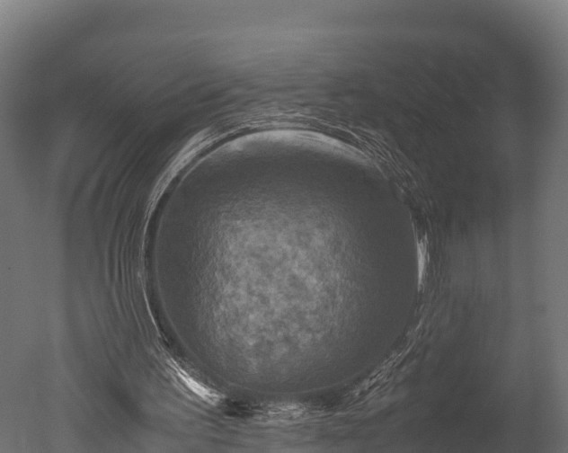 X0000050740195200506161536