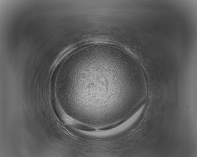 X0000050740199200506161536