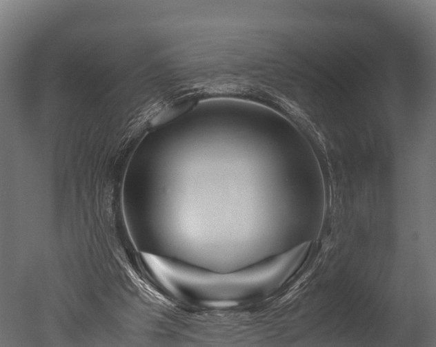 X0000050740201200506161536
