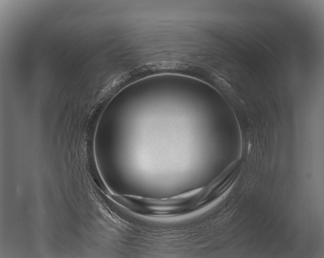 X0000050740207200506161536