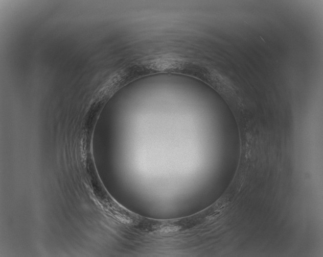 X0000050740210200506161536