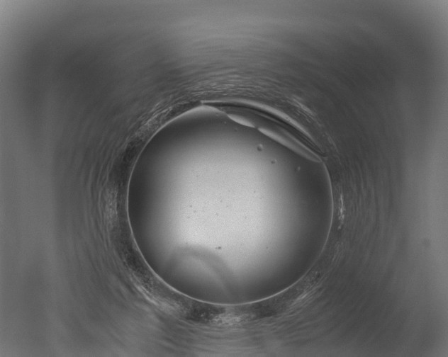 X0000050740213200506161536