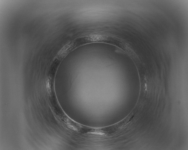 X0000050740214200506161536