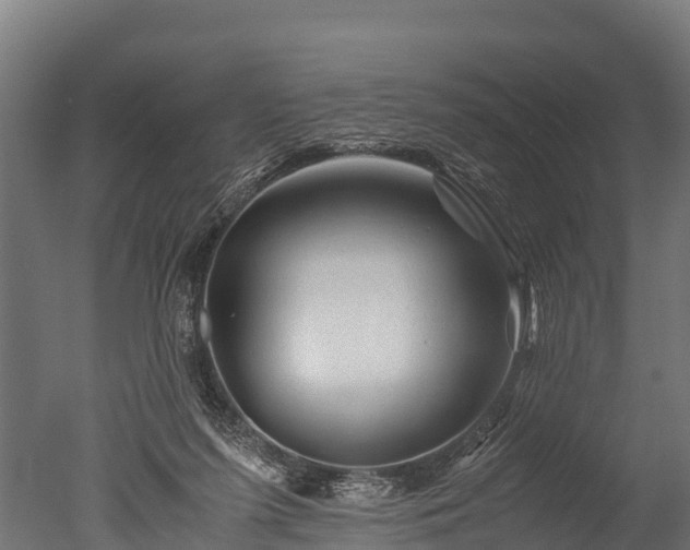 X0000050740215200506161535