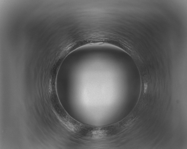 X0000050740216200506161535