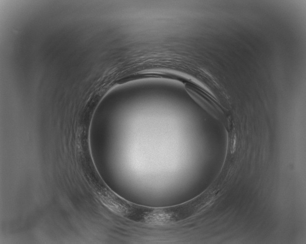 X0000050740217200506161535