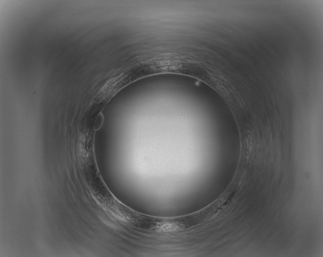 X0000050740218200506161535