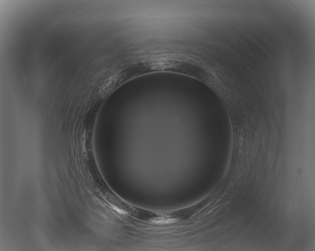 X0000050740219200506161535