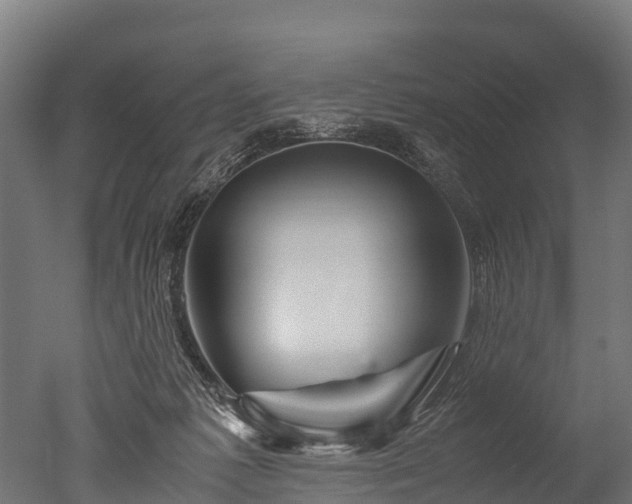X0000050740221200506161535