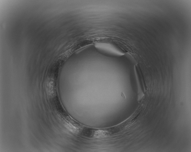 X0000050740222200506161535