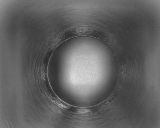 X0000050740226200506161535