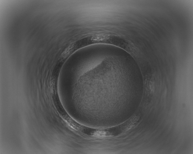 X0000050740227200506161535