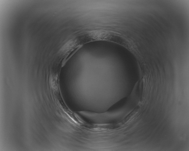 X0000050740239200506161535