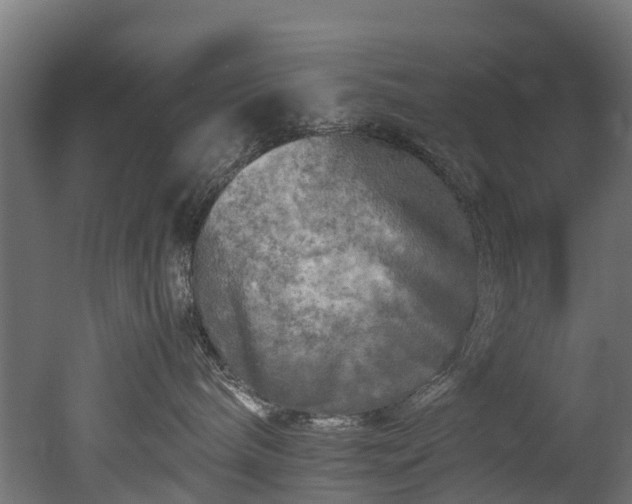 X0000050740240200506161535