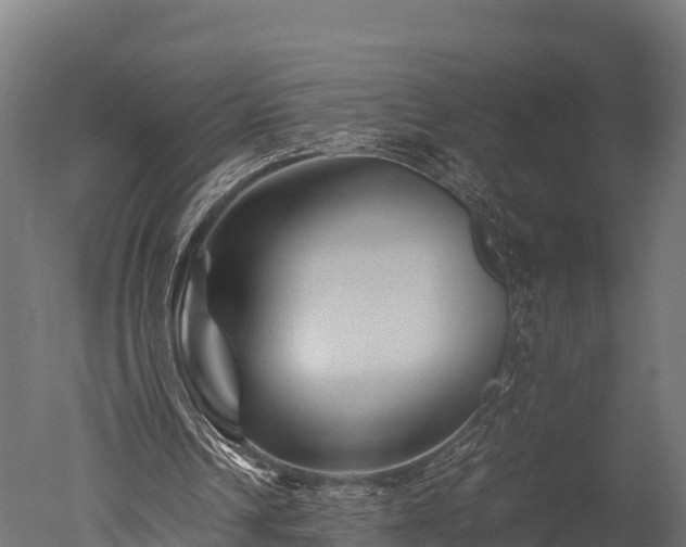 X0000050740242200506161534
