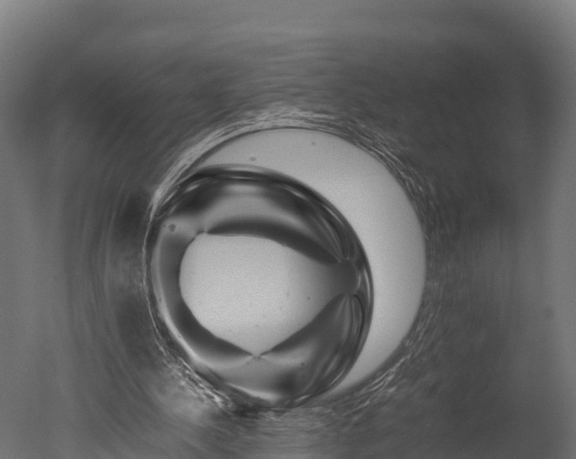 X0000050740244200506161534