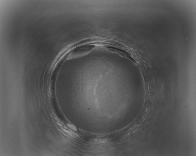 X0000050740247200506161534