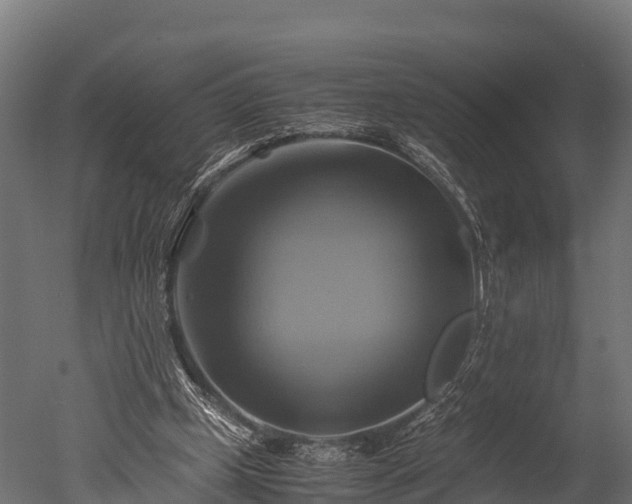 X0000050740249200506161534