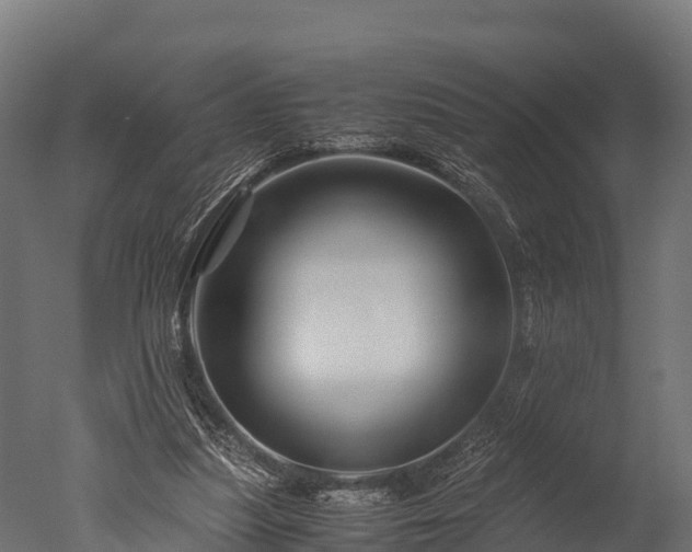 X0000050740251200506161534