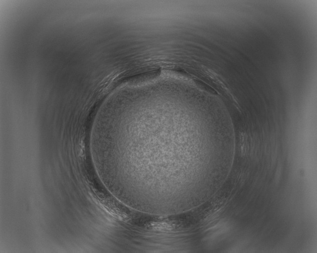 X0000050740259200506161535