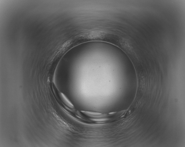 X0000050740260200506161535